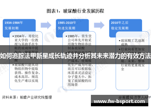 如何追踪法甲新星成长轨迹并分析其未来潜力的有效方法