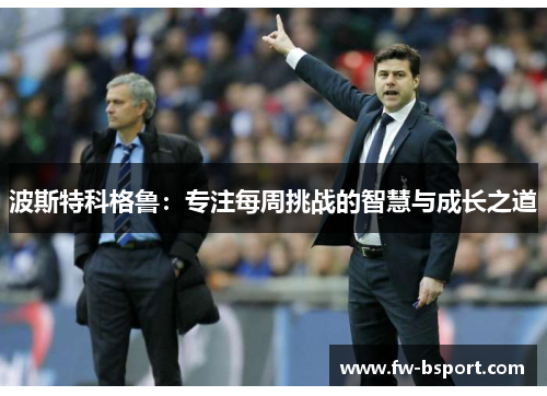 波斯特科格鲁:专注每周挑战的智慧与成长之道 波斯特科格鲁:专注每周挑战的智慧与成长之道