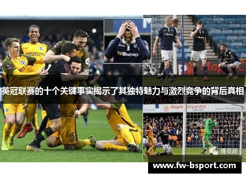 英冠联赛的十个关键事实揭示了其独特魅力与激烈竞争的背后真相 英冠联赛的十个关键事实揭示了其独特魅力与激烈竞争的背后真相