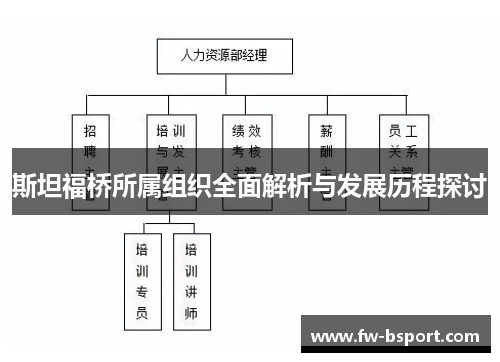 斯坦福桥所属组织全面解析与发展历程探讨 斯坦福桥所属组织全面解析与发展历程探讨